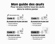 Charger l'image dans la galerie, Oeufs de pâturage