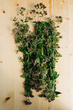 Charger l'image dans la galerie, Herbes