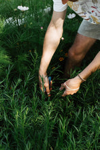Charger l'image dans la galerie, Herbes