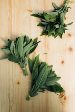 Charger l'image dans la galerie, Herbes