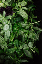 Charger l'image dans la galerie, Herbes