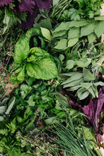 Charger l'image dans la galerie, Herbes
