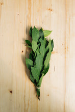 Charger l'image dans la galerie, Herbes