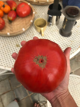 Charger l'image dans la galerie, Plants potagers AB