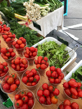 Charger l'image dans la galerie, Plants potagers AB