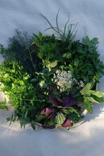 Charger l'image dans la galerie, Herbes