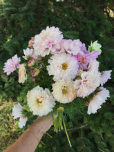 Charger l&#39;image dans la galerie, Bouquets de fleurs
