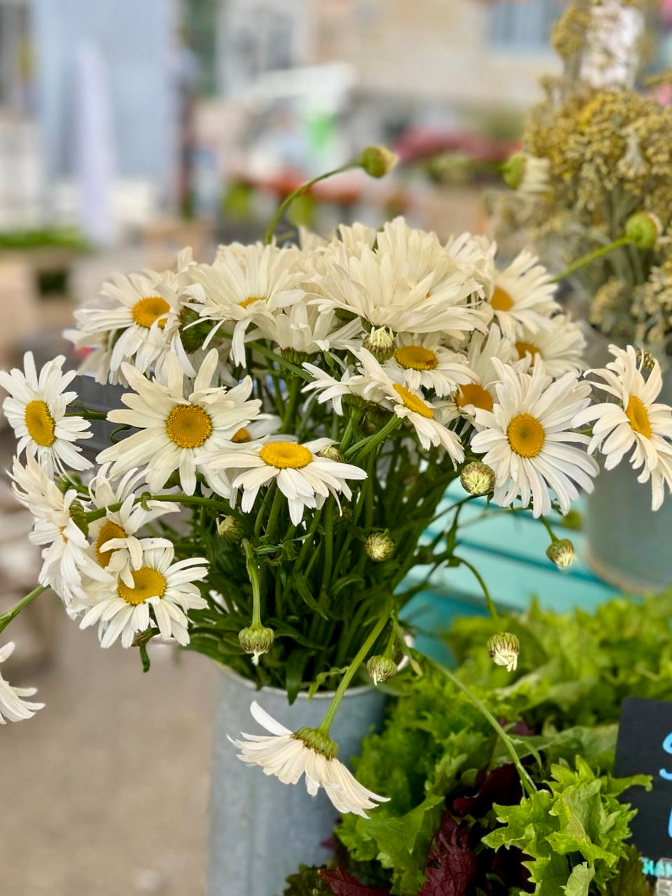 Bouquets de fleurs