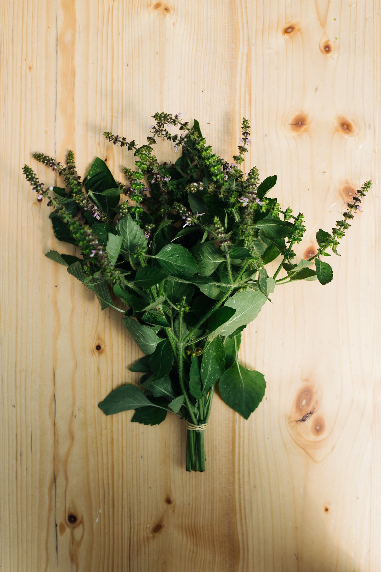 Herbes