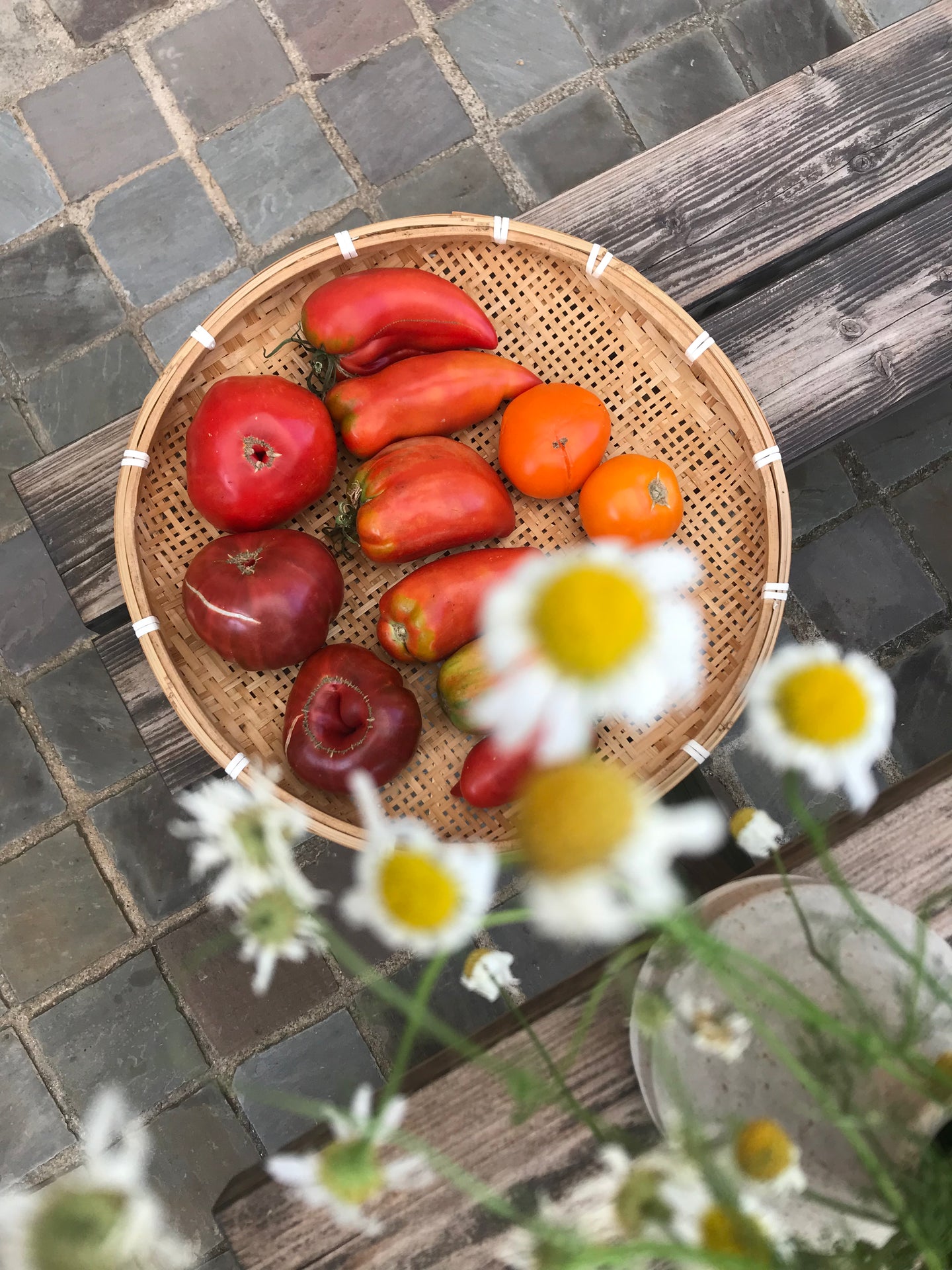 Tomates anciennes