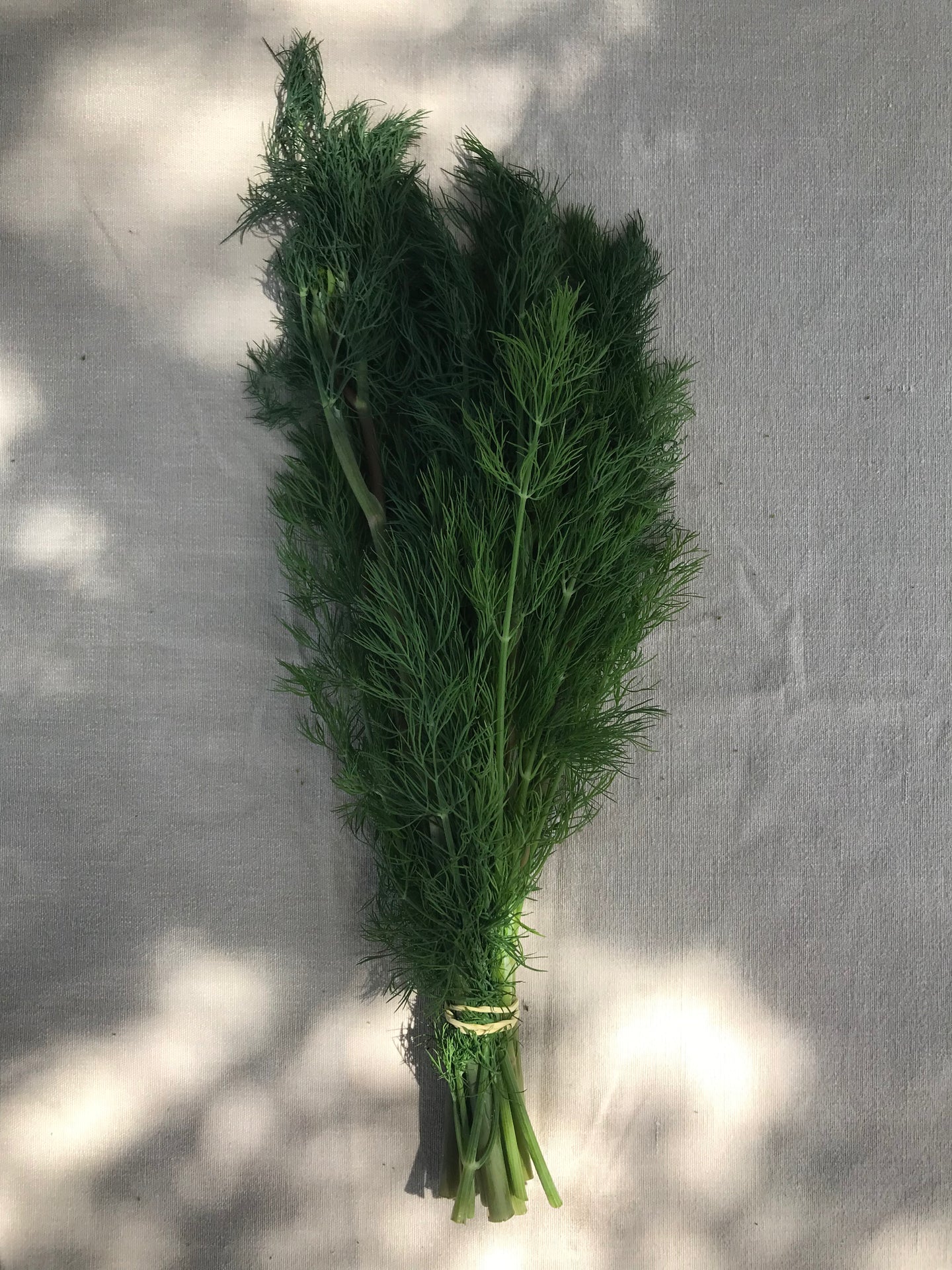 Herbes